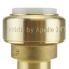 Tectite By Apollo 3/4 in. IPS Brass Push-to-Connect x 3/4 in. CTS Street Transition Adapter FSBIPSSTEM34